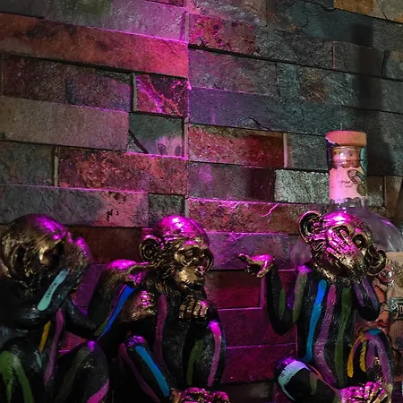 アパート With Monkey Vibes *