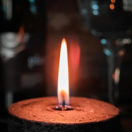 With Monkey Vibes ブラチスラヴァ