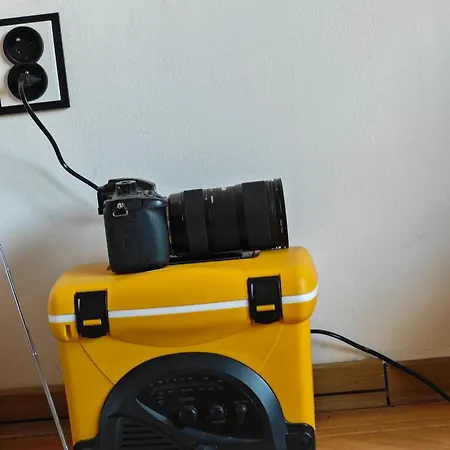 アパート With Monkey Vibes