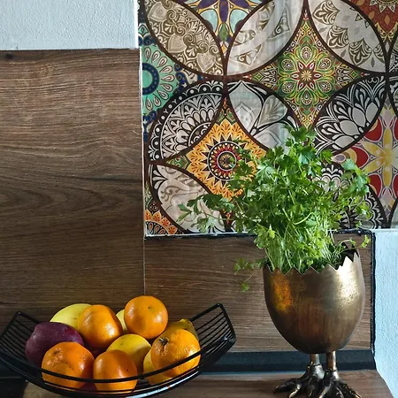 アパート With Monkey Vibes