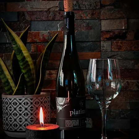 With Monkey Vibes Apartmán *