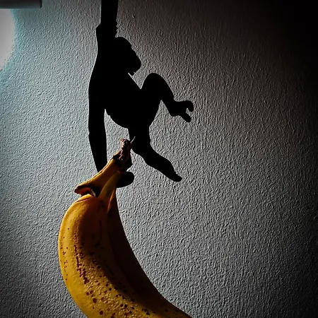With Monkey Vibes *