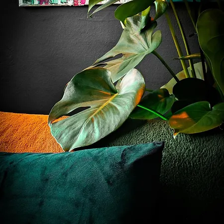 With Monkey Vibes Apartment Pressburg