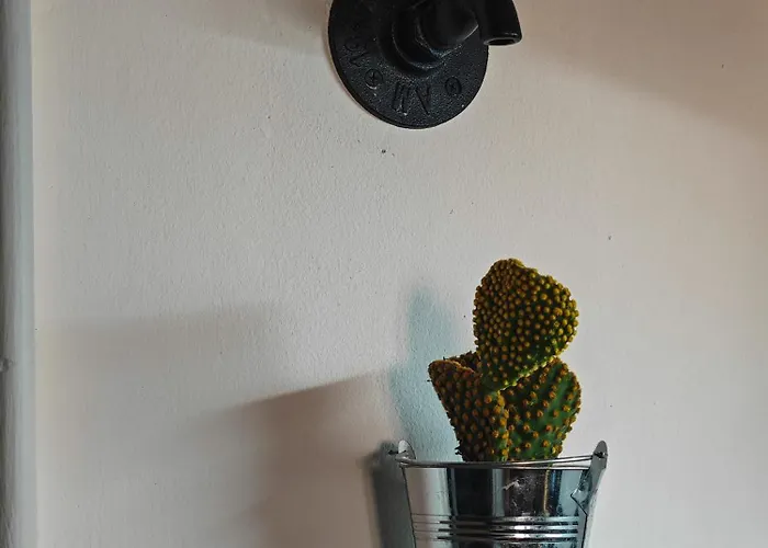 With Monkey Vibes Apartmán *