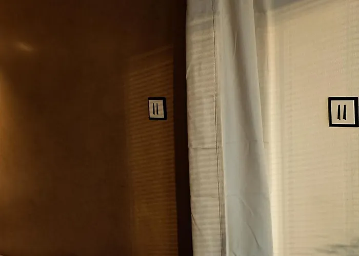 With Monkey Vibes * Bratislava