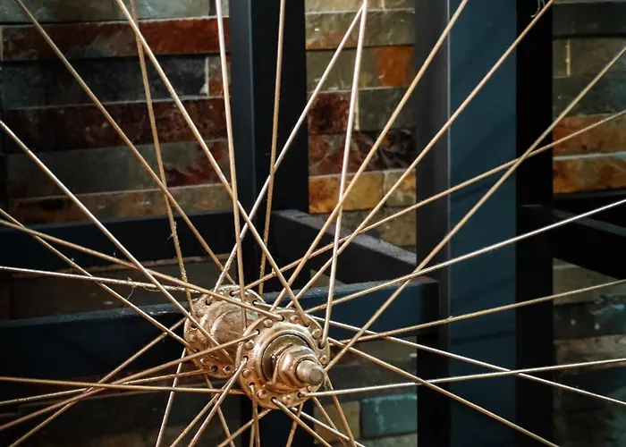 アパート With Monkey Vibes