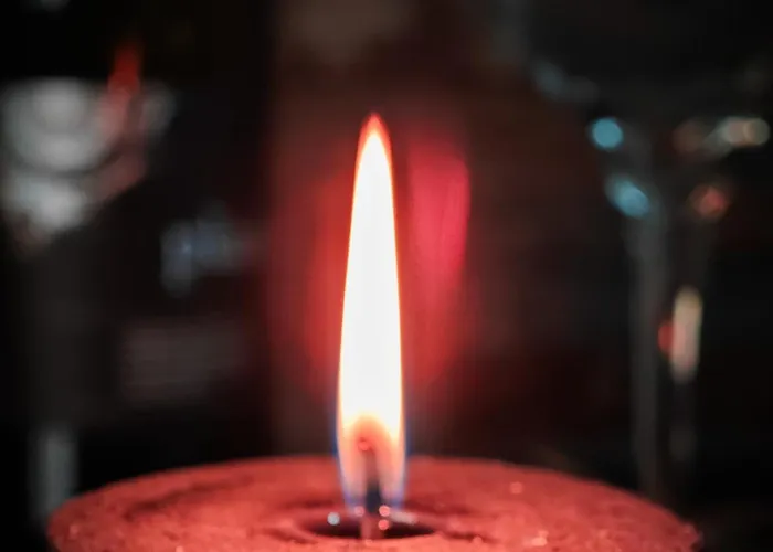 With Monkey Vibes Apartment *