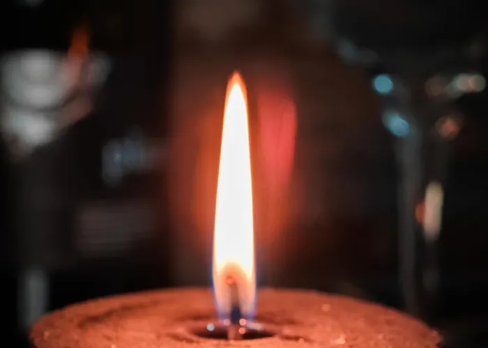 With Monkey Vibes ブラチスラヴァ