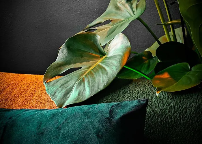 With Monkey Vibes Apartmán Bratislava