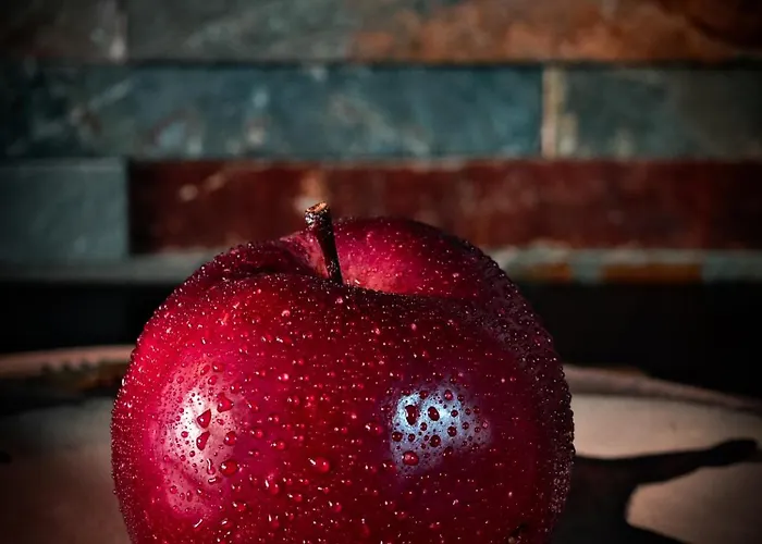 Apartmán With Monkey Vibes *