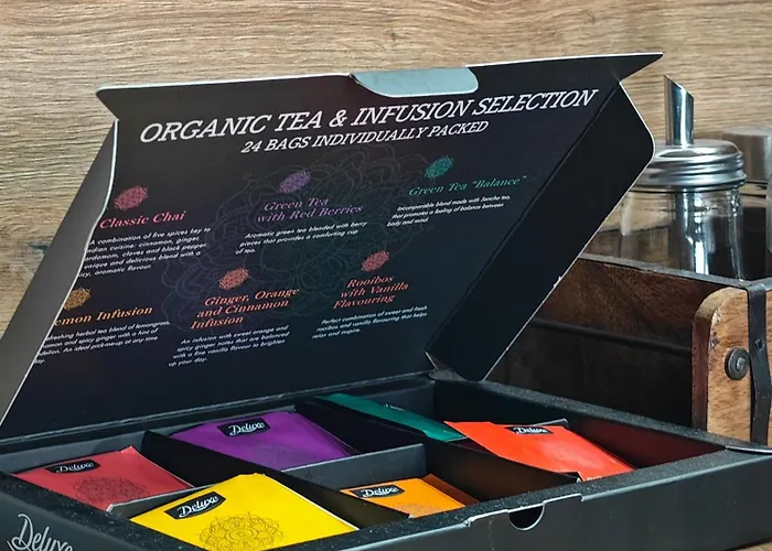 With Monkey Vibes Bratislava