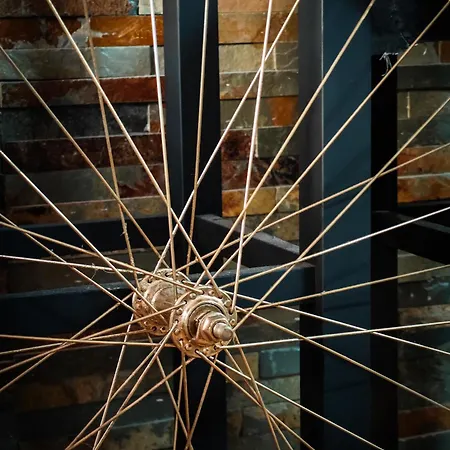 Διαμέρισμα With Monkey Vibes