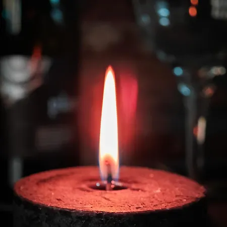 With Monkey Vibes Διαμέρισμα *