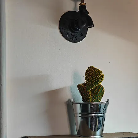 With Monkey Vibes Lägenhet *