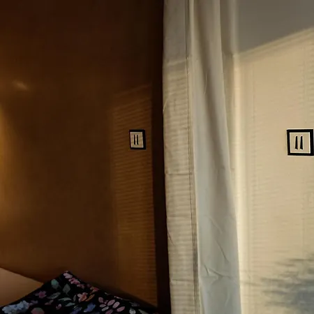 With Monkey Vibes * Bratislava